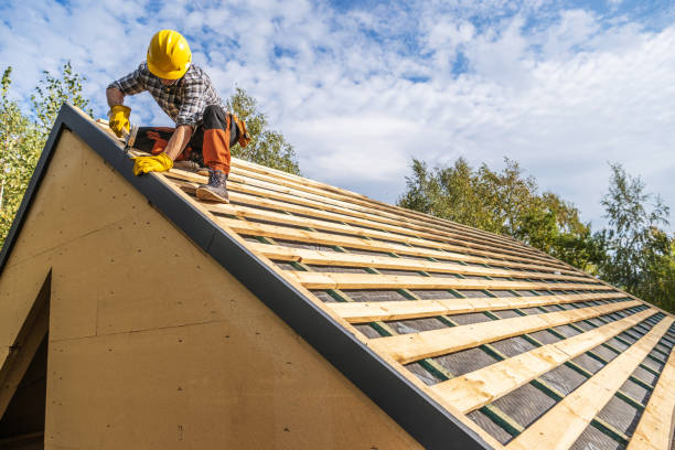 Best Roof Maintenance Services  in Panguitch, UT