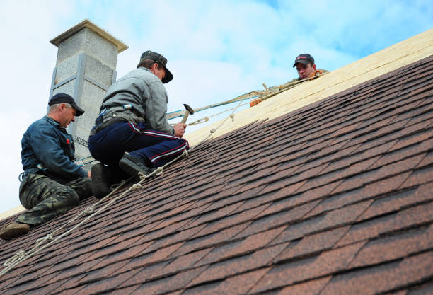 Roof Waterproofing Services in Panguitch, UT